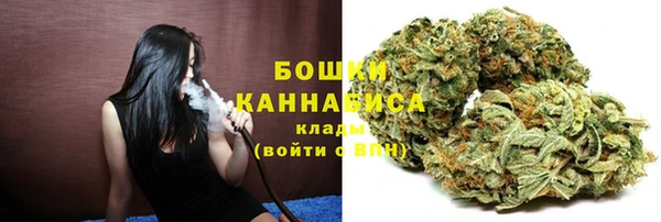 индика Кодинск
