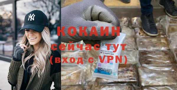 индика Кодинск